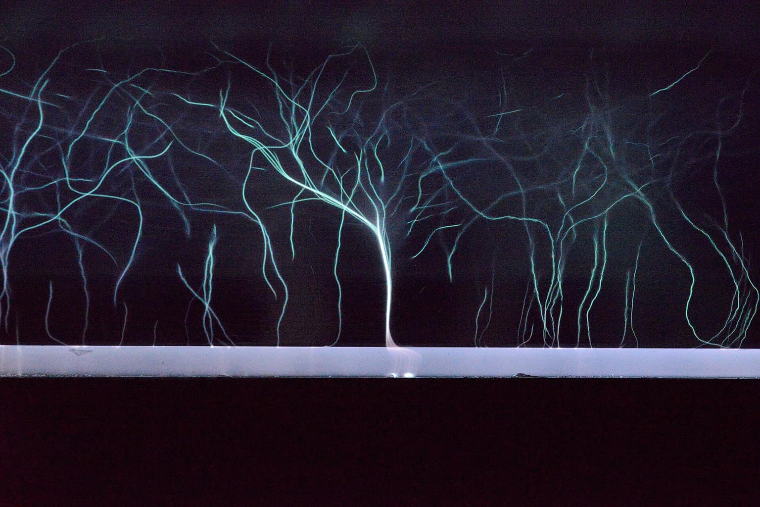 Symbolbild: Plasma Trees