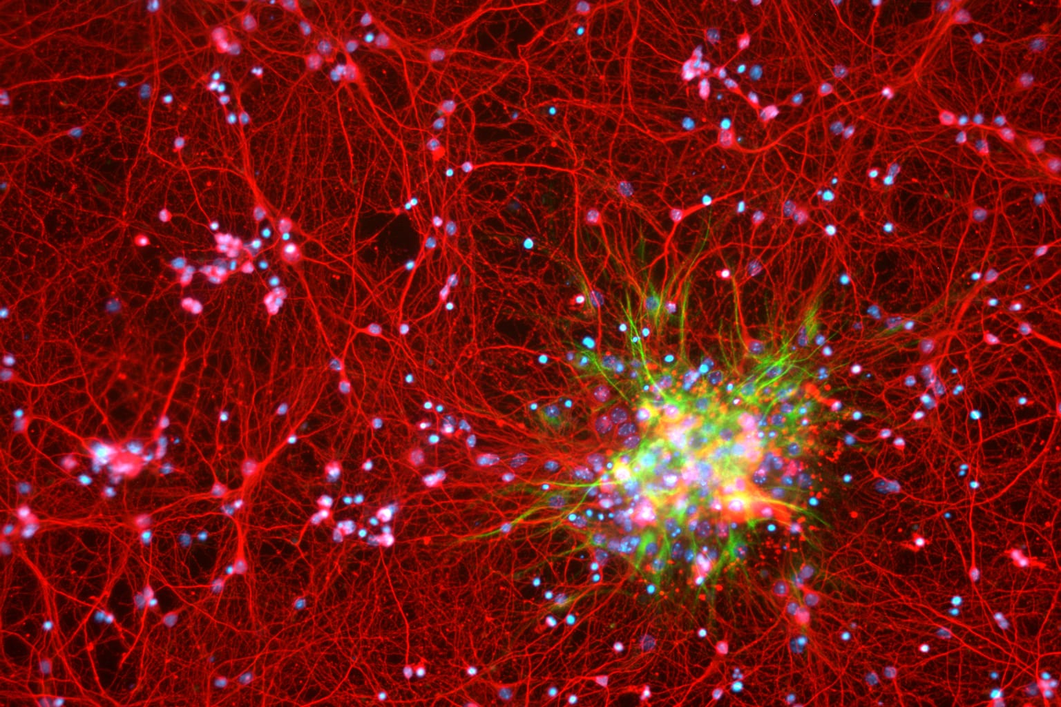 Photo: The Galaxy Within